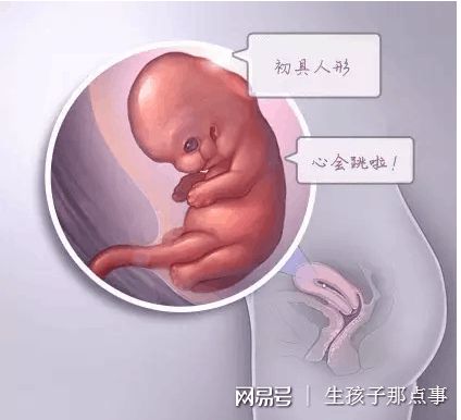 光愈生殖医学中心